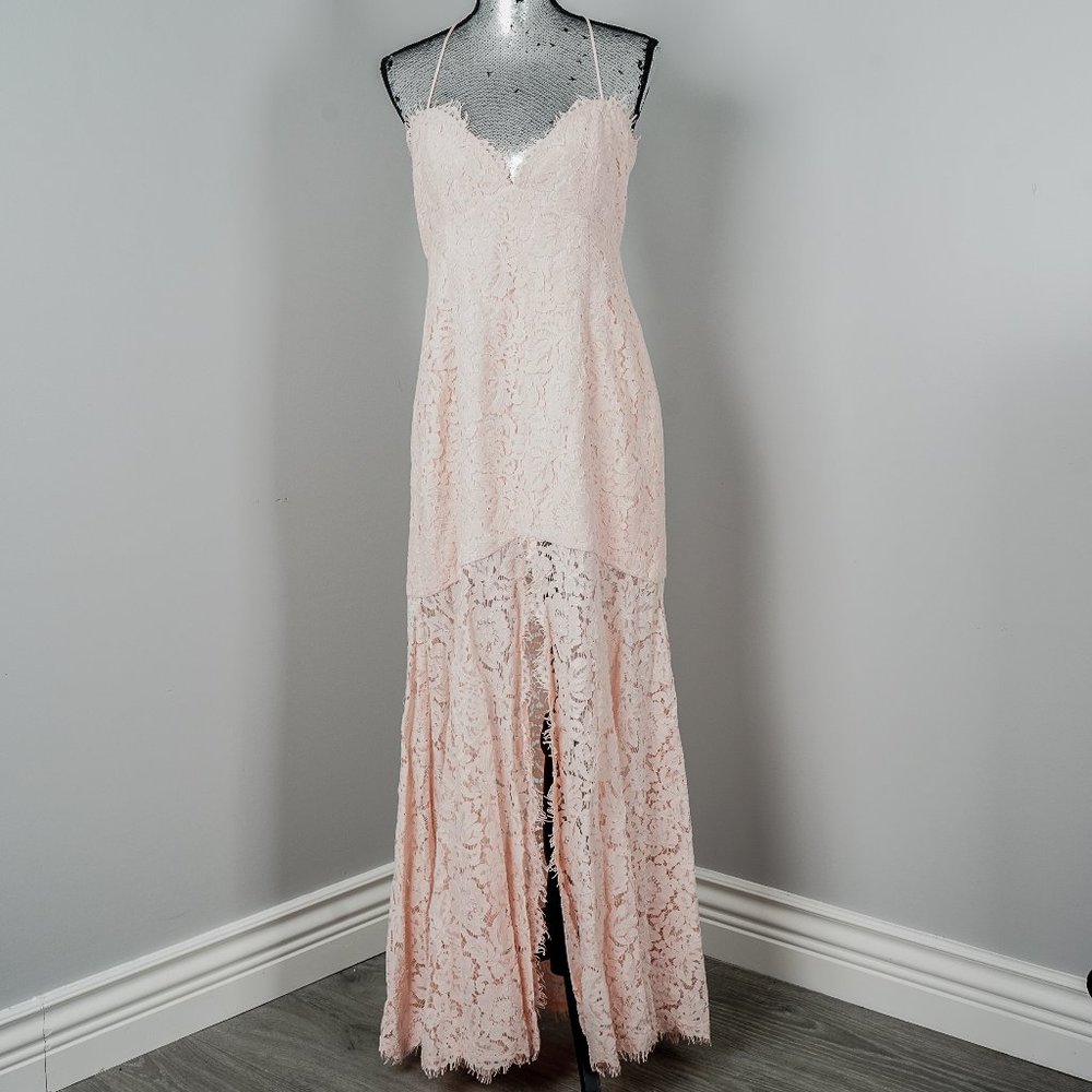 NWT Fame And Partners Pink Lace Mermaid gown - 10 - Picture 2 of 8